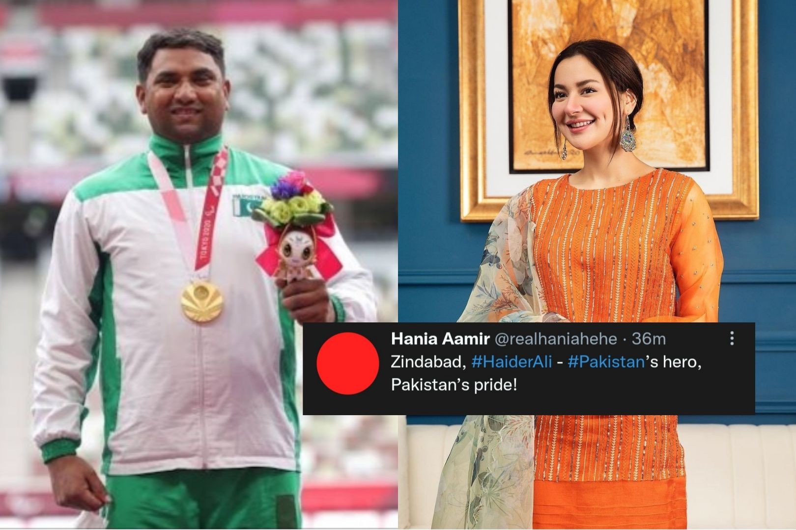 Haider Ali Wins Gold 