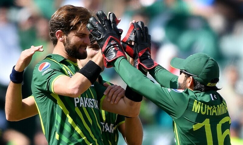 Who does Shahid Afridi prefer for T20 captaincy: Rizwan or Shaheen?