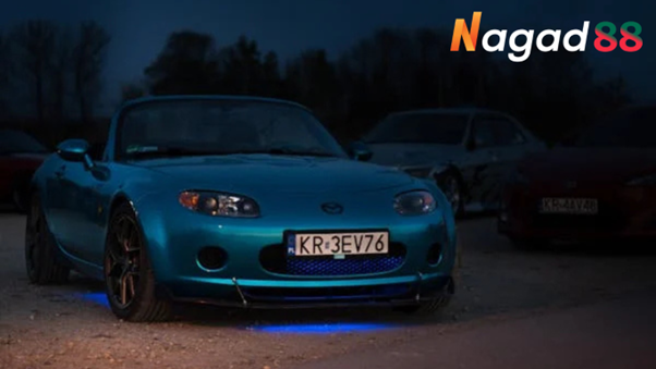 Comprehensive Review of Nagad88’s Mobile App for Bettors in Bangladesh